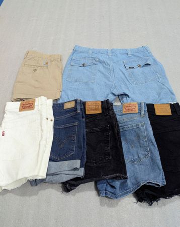 Levis ' Lee & Carhartt Mini Denim Shorts