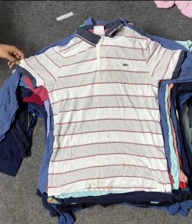 Lacoste T-Shirts