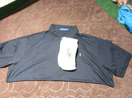 Ralph Lauren Polo Shirts