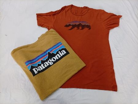 CR10119 Vintage Patagonia T-Shirts