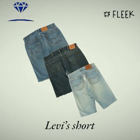Levi's Shorts (DV -07-180)