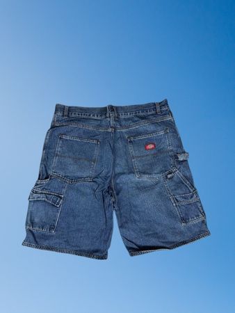 Dickie's shorts