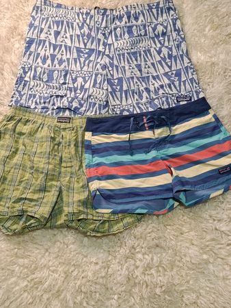 Patagonia Short RV # 1264
