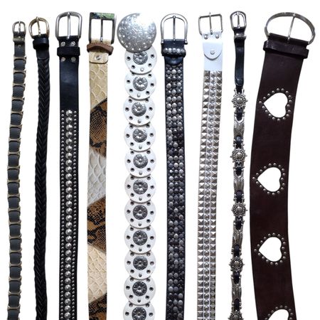 Y2K Aesthetic Belts 2