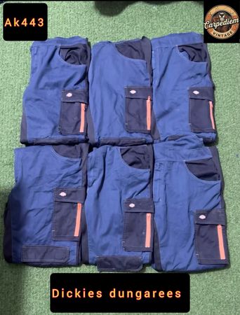 Dickies dungarees ak443