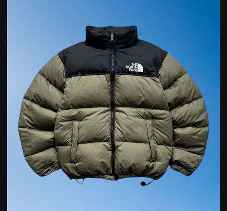 The north face puffer jacket