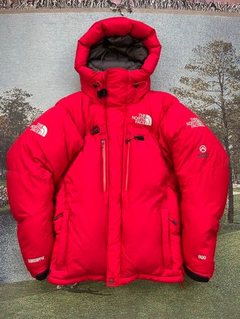 Premium ⚜️ the north face puffer jacket