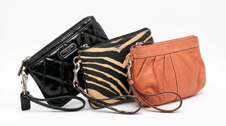 Coach Pouches