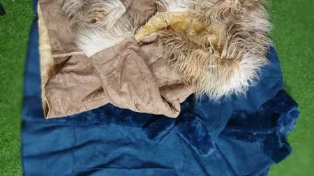 cappotti afghani