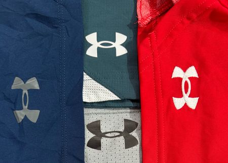 Under Armour Sports Shorts (1233)