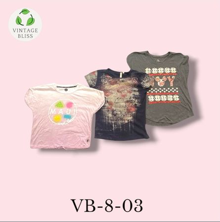 Y2K Vintage Printed T-Shirt Wholesale Bundle(VB-8-03) 10 piece