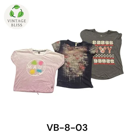 Y2K Vintage T-Shirt Wholesale Bundle – (VB-8-03) 10 pièces