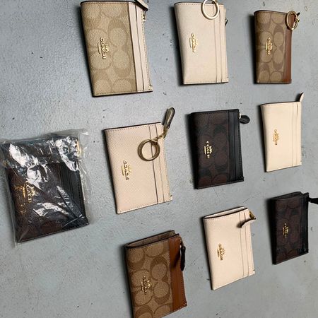 Coach Mini Skinny