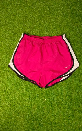 Nike Sports Sexy Shorts