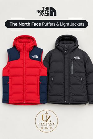 The North Face Puffers & Light Jackets