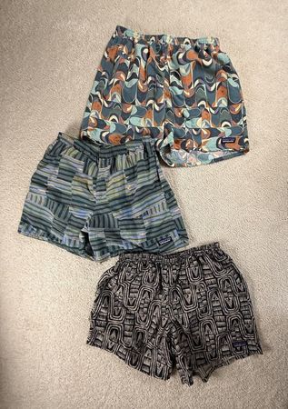 Patagonia Shorts