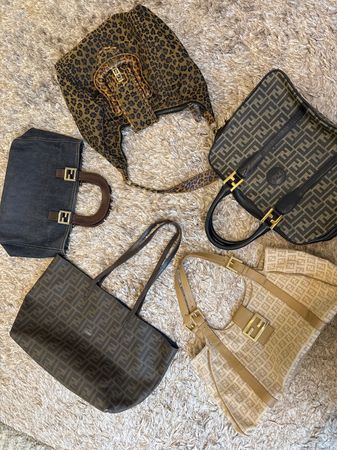 luxury fendi bundle