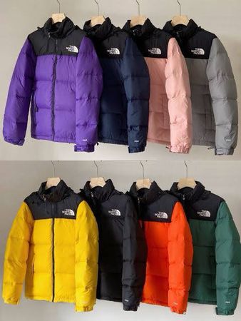 Authentic The north Face puffer jackets 700,800