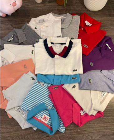 Polo lacoste t shirts