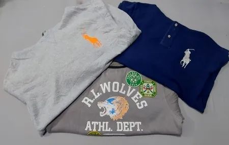 Roupas de Moletom e Sweatshirts Ralph Lauren – Grau A/B – 21 Peças | 09-343