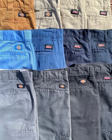 Dickies Shorts