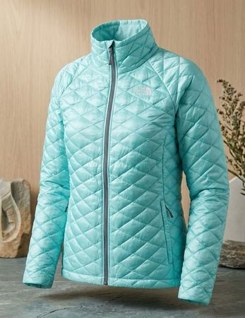 Les vestes The North Face