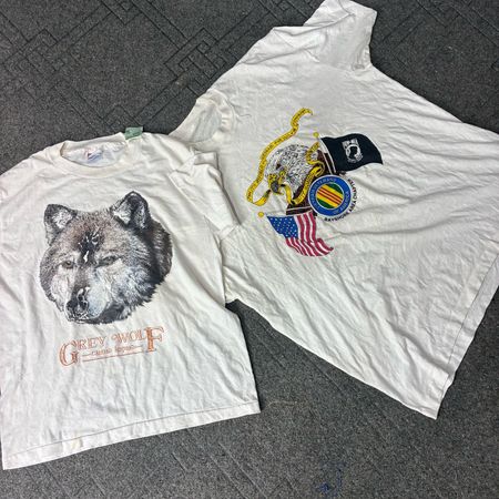 Single-Stitch T-Shirts (CV:247)