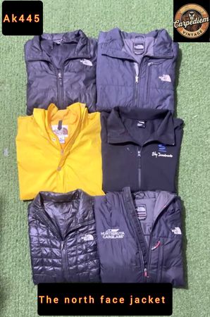 The north face jacket ak445
