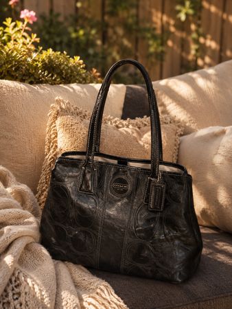 Coach Handbag