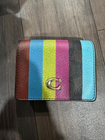 Coach Rainbow Striped mini Handbag (NWT)