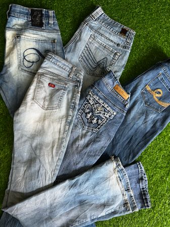 Jean Wallflower & autres marques BN 559