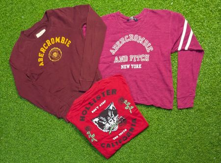 6773 - American Eagle, Aeropostale, Abecrombie and Hollister Sweaters, Sweatshirts and Long Sleeves T-Shirts