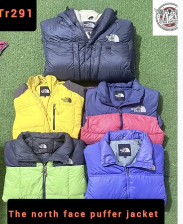 The north face puffer jacket Tr 291