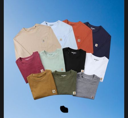 Carhartt authentisches T-Shirt