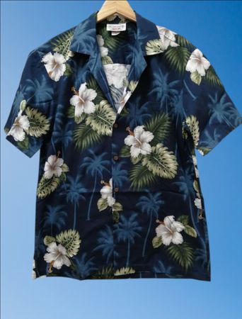 Hawaiian shirt