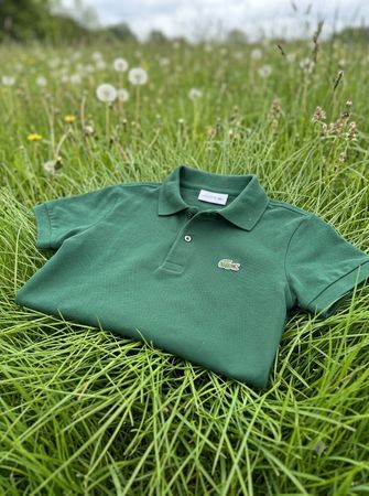 Lacoste tshirts