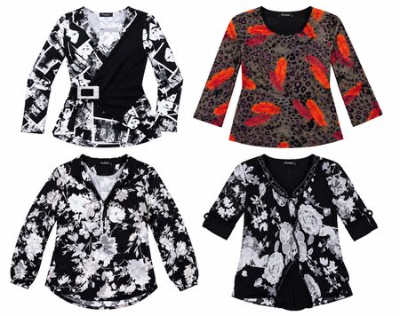 Y2K long Slvess Blouse 10 pcs At 1531