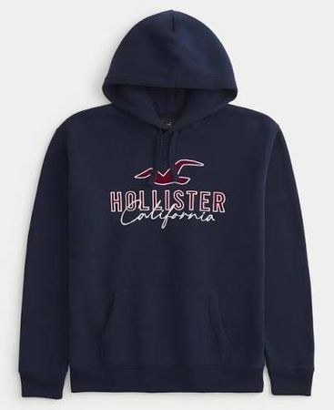 Hollister Hoodies - D009