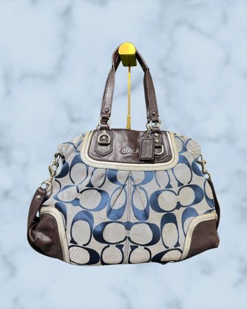 Coach Bags (ZKIT-1)