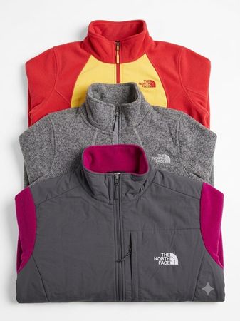 The North Face Fleece Jackets (H5-002)