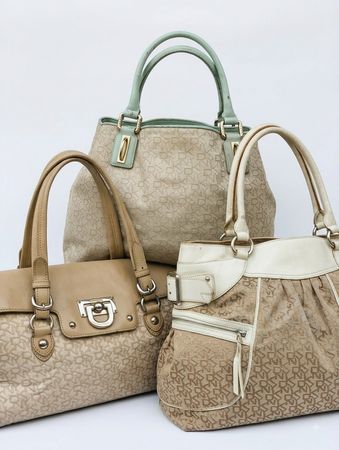 DKNY Bags