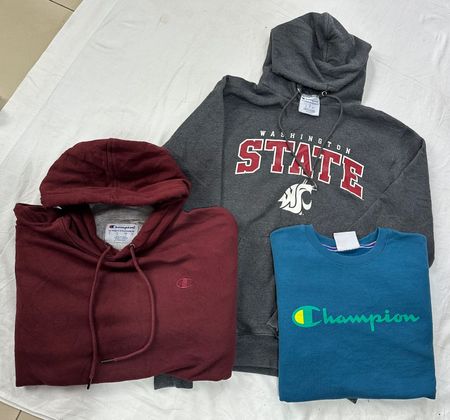 Champion Hoodie & Sweatshirt # B-466.