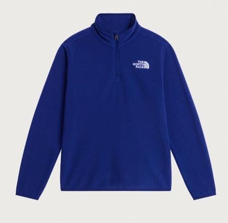 The North Face TNF Fleece Jackets(0028)