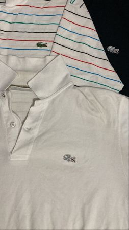 Premium Lacoste T Shirts