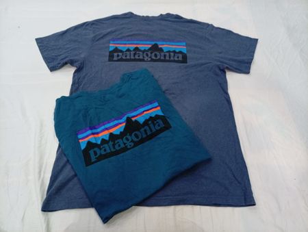 CR12731 Vintage Patagonia T-Shirts