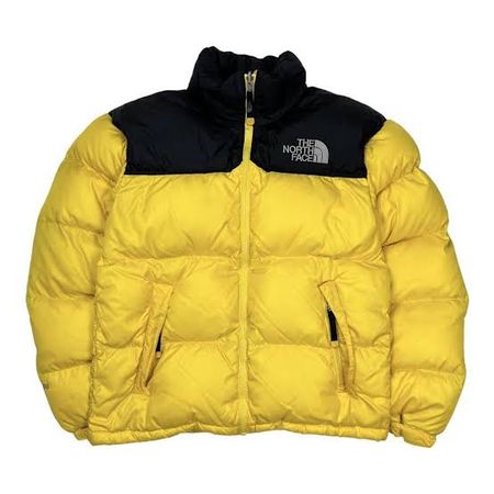 Veste Puffer Spéciale North Face