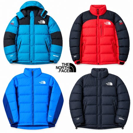 The North face puffer (series) 550,700,800,900