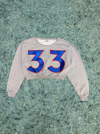 Upcycle Sports Crop Sweatshirt (Dv-9-47)