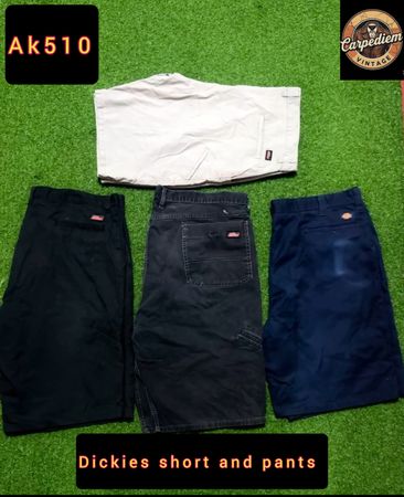 Dickies short & pants ak510