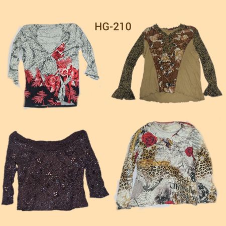 Y2K Dusky Tone Full Sleeved Tops (HG-210)